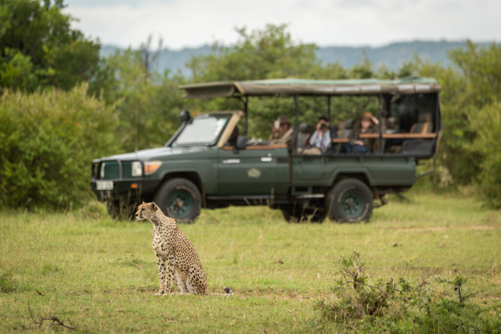 tanzania family safari