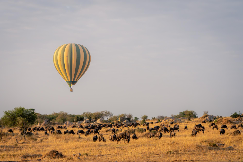 Tanzania honeymoon safari