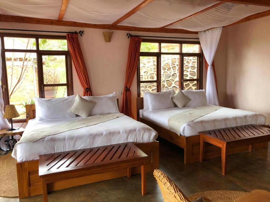 4 days tanzania safari