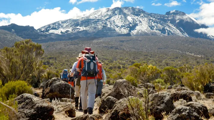 kilimanjaro day trip