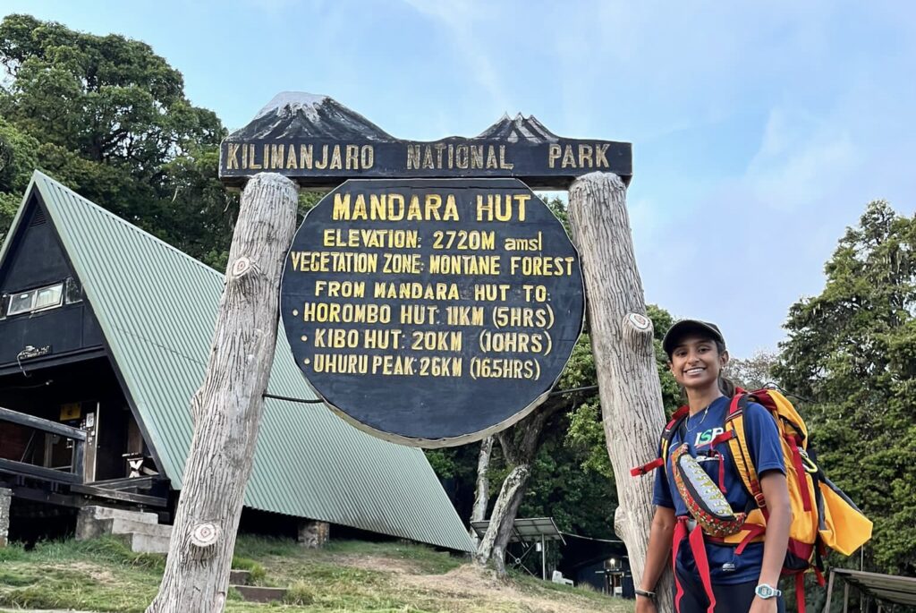 kilimanjaro day trip